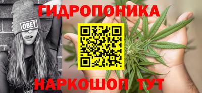 эйфоретик Абакан