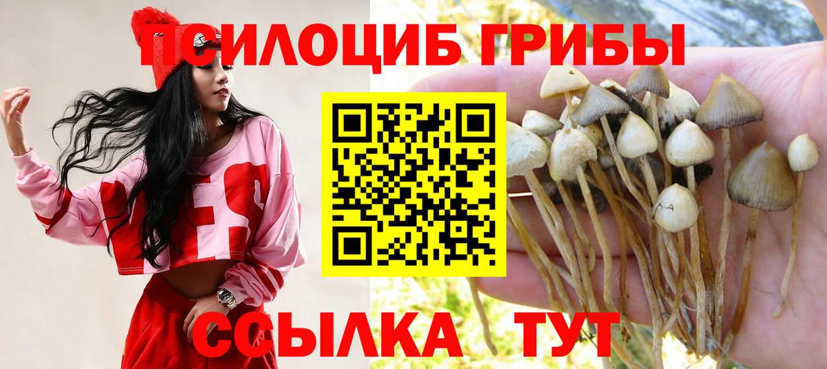 Ангарск  Галлюциногенные грибы Cubensis  Вход с VPN 